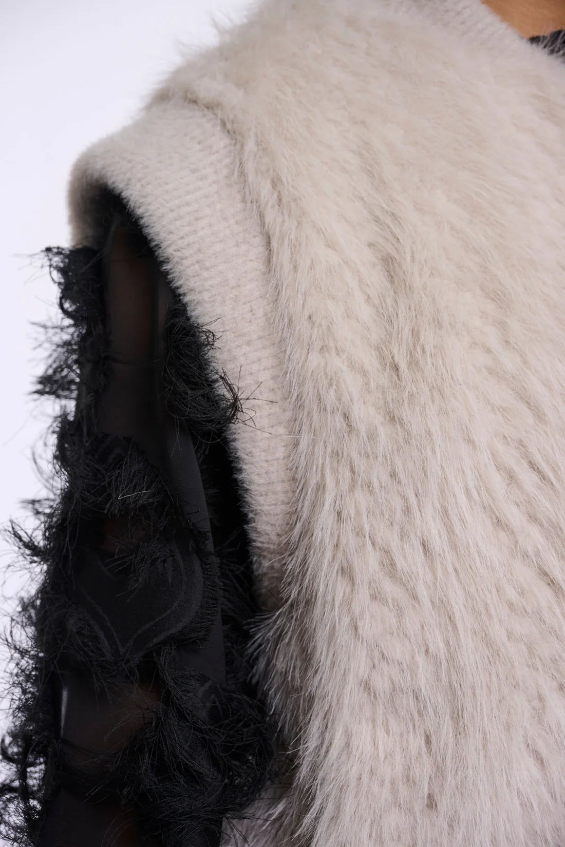 alvitabirch2.webp